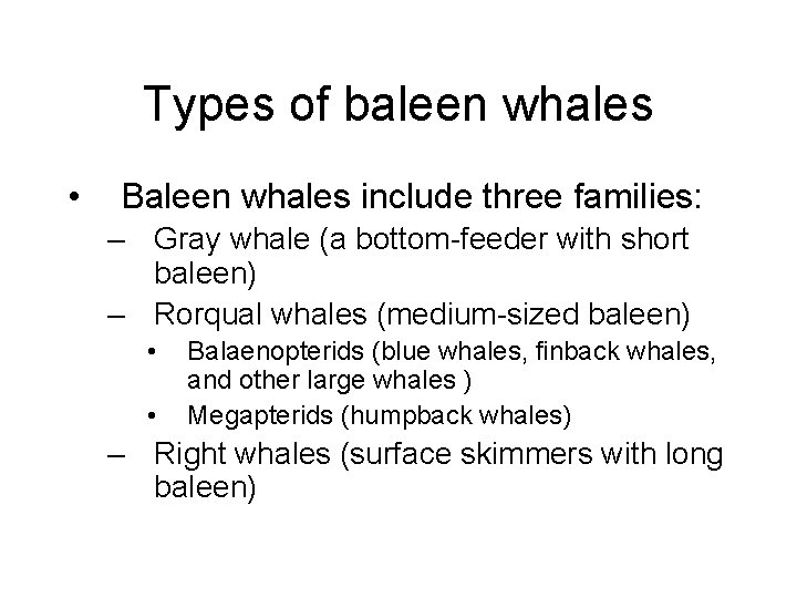 Types of baleen whales • Baleen whales include three families: – Gray whale (a