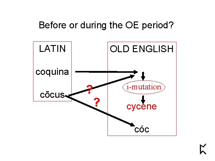 Before or during the OE period? LATIN OLD ENGLISH coquina cōcus ? ? i-mutation