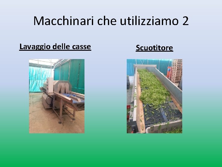 Macchinari che utilizziamo 2 Lavaggio delle casse Scuotitore Macchinari che utilizziamo 2 Lavaggio delle casse Scuotitore