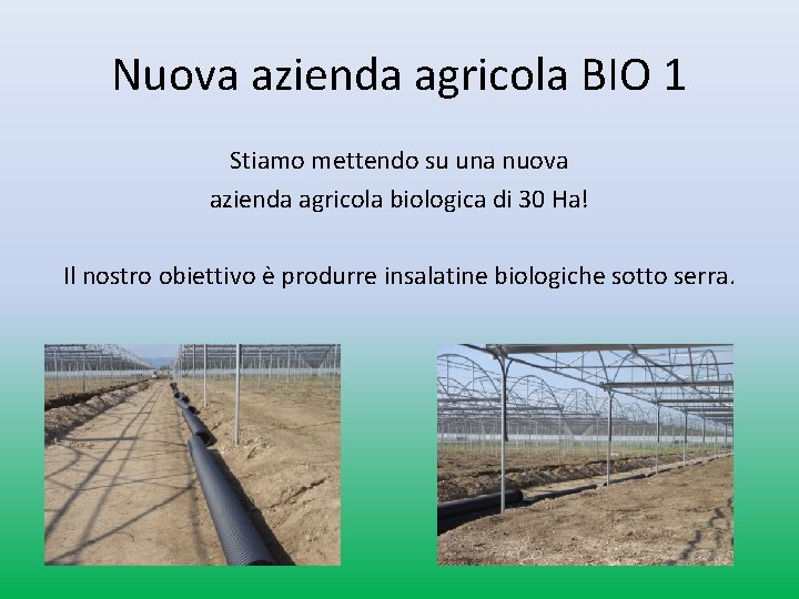 Nuova azienda agricola BIO 1 Stiamo mettendo su una nuova azienda agricola biologica di Nuova azienda agricola BIO 1 Stiamo mettendo su una nuova azienda agricola biologica di