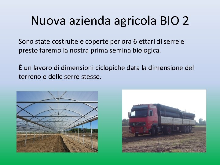 Nuova azienda agricola BIO 2 Sono state costruite e coperte per ora 6 ettari Nuova azienda agricola BIO 2 Sono state costruite e coperte per ora 6 ettari