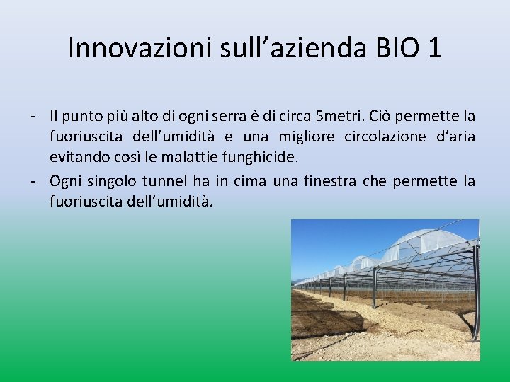 Innovazioni sull’azienda BIO 1 - Il punto più alto di ogni serra è di Innovazioni sull’azienda BIO 1 - Il punto più alto di ogni serra è di