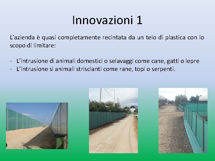 Innovazioni 1 L’azienda è quasi completamente recintata da un telo di plastica con lo Innovazioni 1 L’azienda è quasi completamente recintata da un telo di plastica con lo