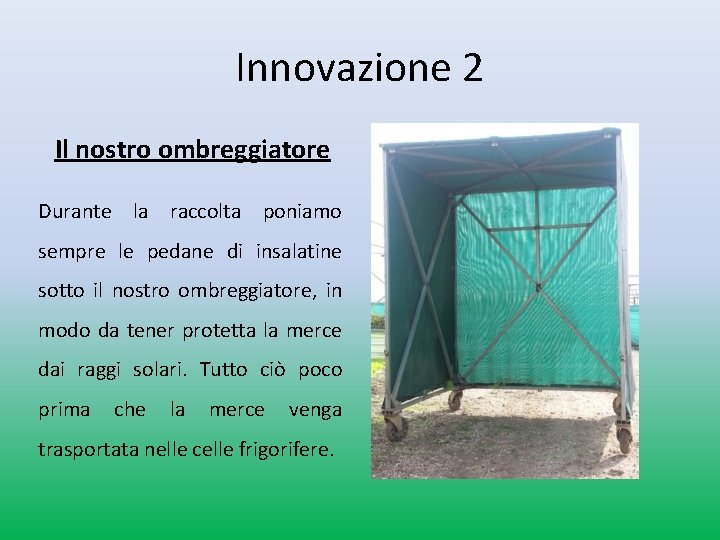 Innovazione 2 Il nostro ombreggiatore Durante la raccolta poniamo sempre le pedane di insalatine Innovazione 2 Il nostro ombreggiatore Durante la raccolta poniamo sempre le pedane di insalatine