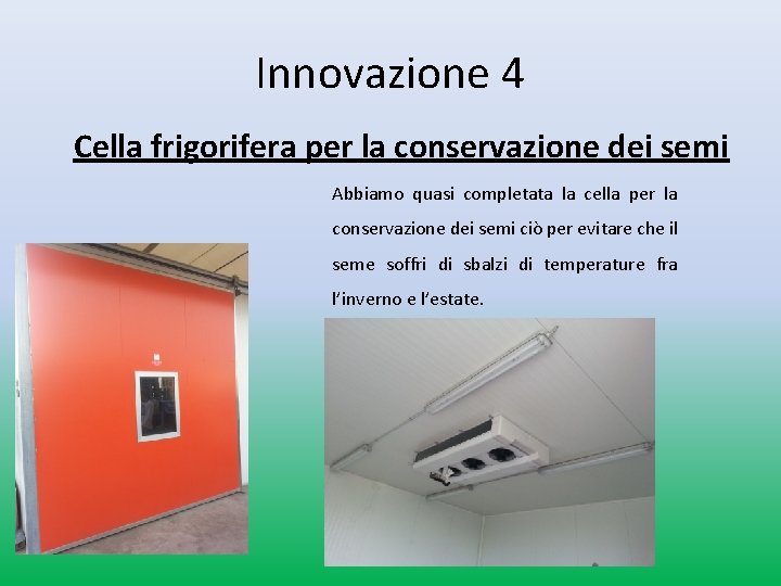 Innovazione 4 Cella frigorifera per la conservazione dei semi Abbiamo quasi completata la cella Innovazione 4 Cella frigorifera per la conservazione dei semi Abbiamo quasi completata la cella