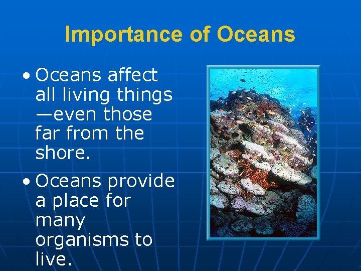 Importance of Oceans • Oceans affect all living things —even those far from the