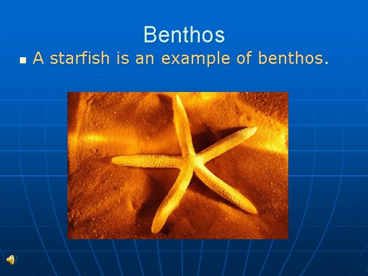 Benthos n A starfish is an example of benthos. 