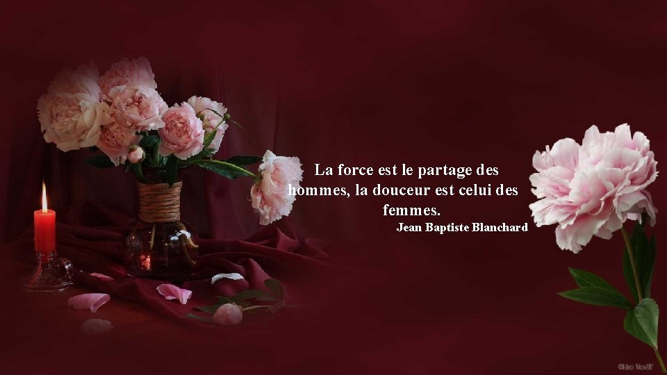 La force est le partage des hommes, la douceur est celui des femmes. Jean