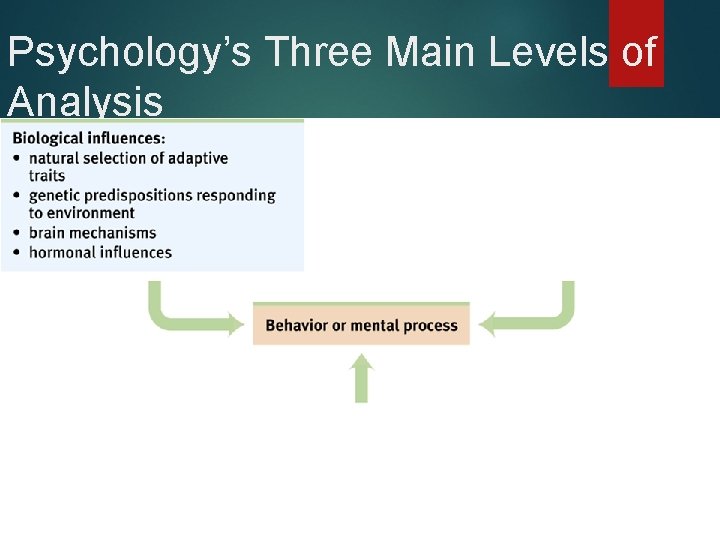 Psychology’s Three Main Levels of Analysis 