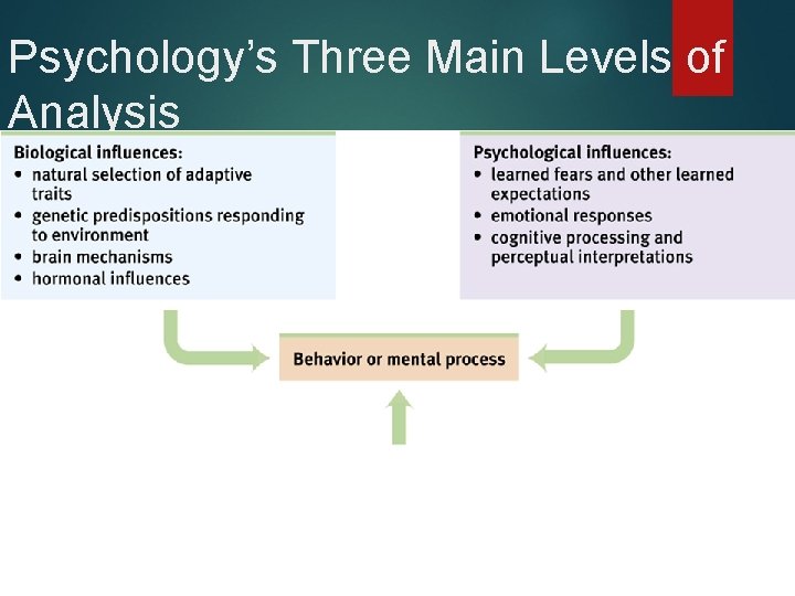 Psychology’s Three Main Levels of Analysis 