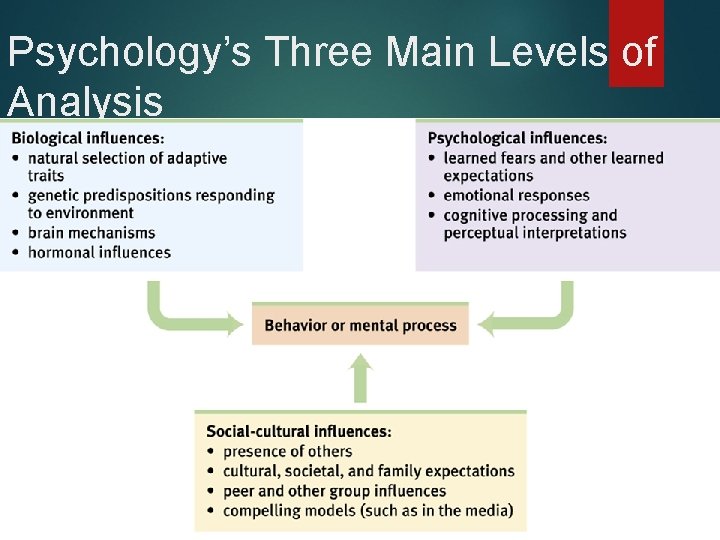 Psychology’s Three Main Levels of Analysis 