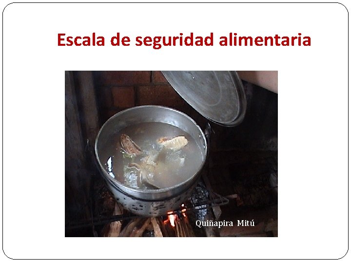 Escala de seguridad alimentaria Quiñapira Mitú 