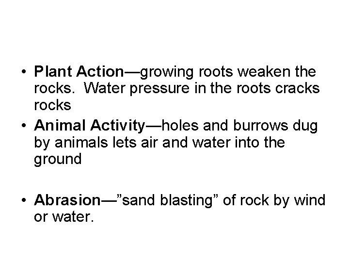  • Plant Action—growing roots weaken the rocks. Water pressure in the roots cracks