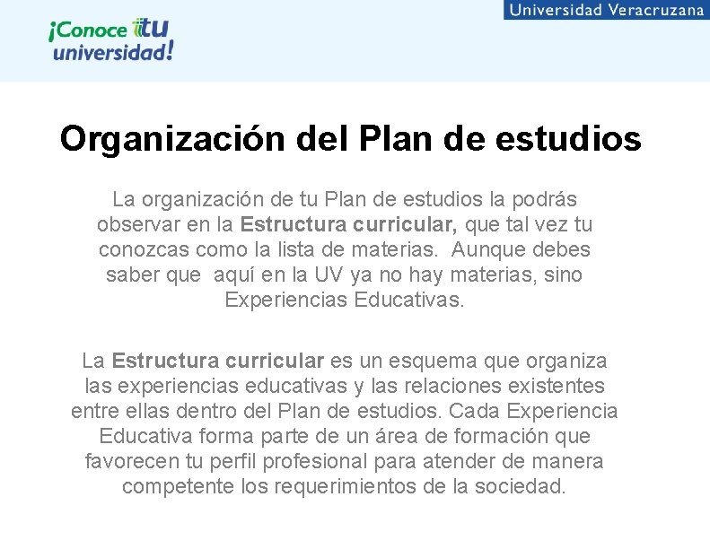 Organización del Plan de estudios La organización de tu Plan de estudios la podrás