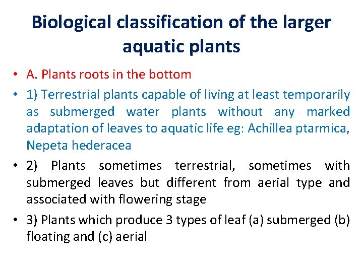 Biological classification of the larger aquatic plants • A. Plants roots in the bottom