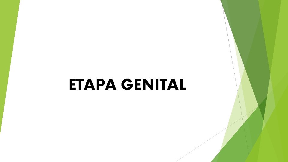 ETAPA GENITAL 