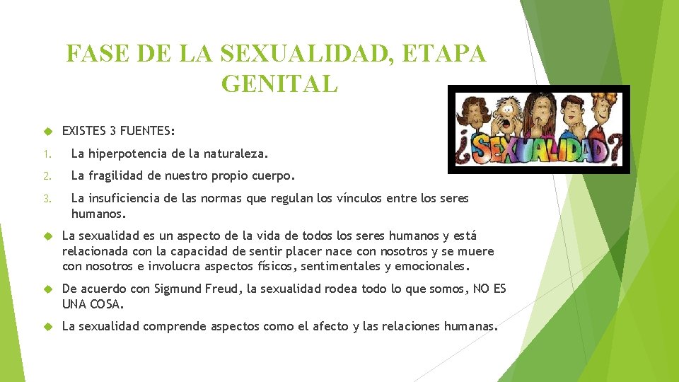 FASE DE LA SEXUALIDAD, ETAPA GENITAL EXISTES 3 FUENTES: 1. La hiperpotencia de la