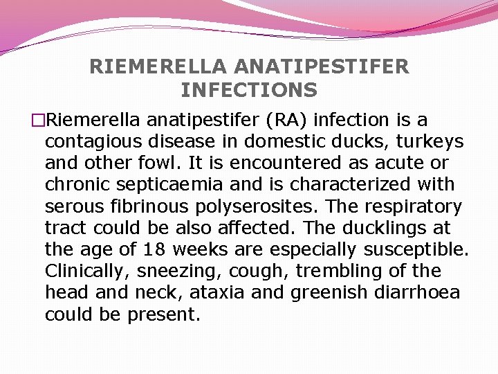 RIEMERELLA ANATIPESTIFER INFECTIONS �Riemerella anatipestifer (RA) infection is a contagious disease in domestic ducks,