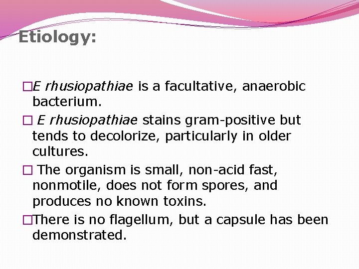 Etiology: �E rhusiopathiae is a facultative, anaerobic bacterium. � E rhusiopathiae stains gram-positive but