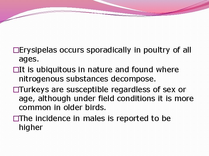 �Erysipelas occurs sporadically in poultry of all ages. �It is ubiquitous in nature and