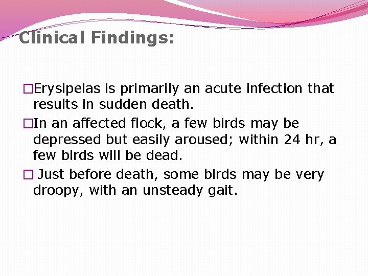 Clinical Findings: �Erysipelas is primarily an acute infection that results in sudden death. �In
