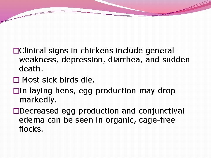 �Clinical signs in chickens include general weakness, depression, diarrhea, and sudden death. � Most