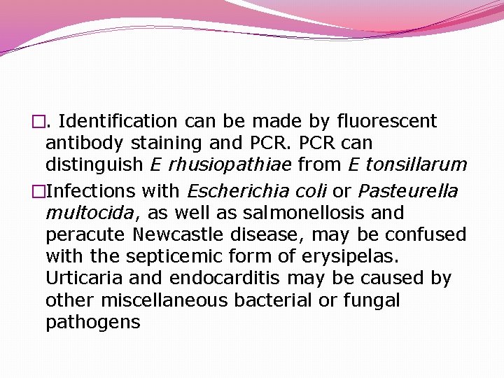 �. Identification can be made by fluorescent antibody staining and PCR can distinguish E