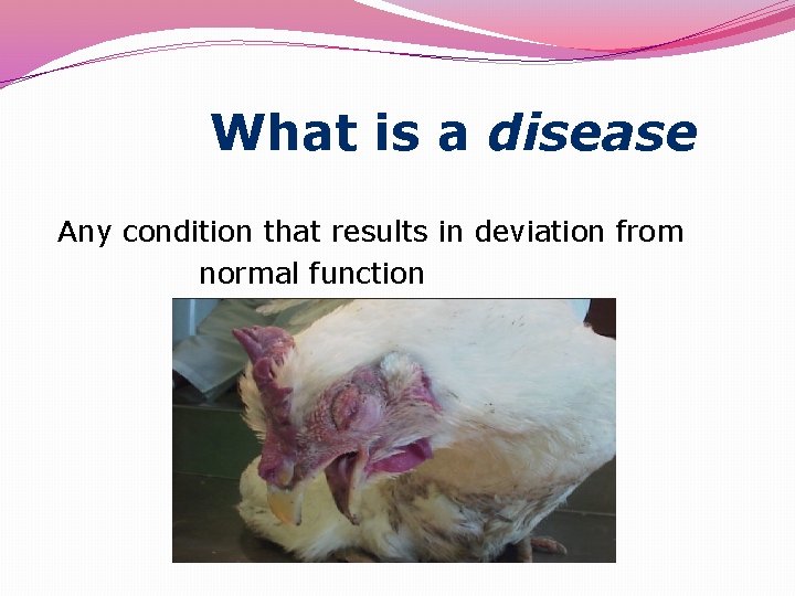  What is a disease Any condition that results in deviation from normal function