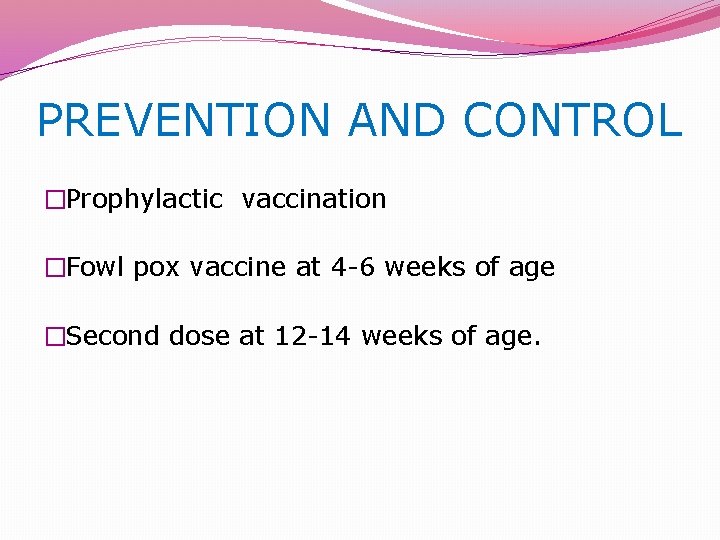 PREVENTION AND CONTROL �Prophylactic vaccination �Fowl pox vaccine at 4 -6 weeks of age