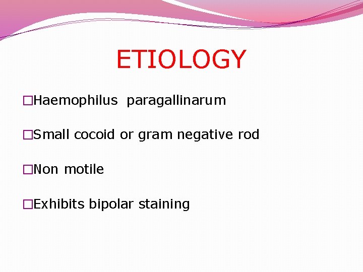  ETIOLOGY �Haemophilus paragallinarum �Small cocoid or gram negative rod �Non motile �Exhibits bipolar