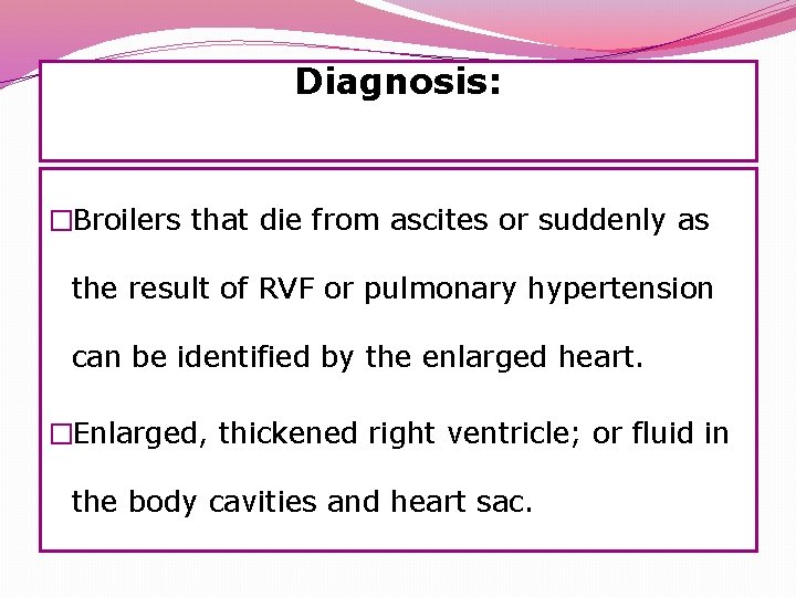 Diagnosis: �Broilers that die from ascites or suddenly as the result of RVF or