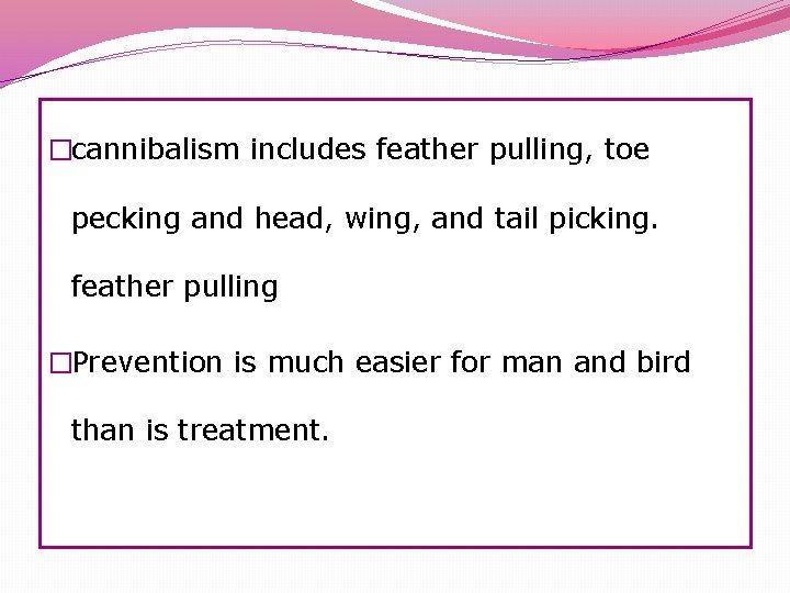 �cannibalism includes feather pulling, toe pecking and head, wing, and tail picking. feather pulling