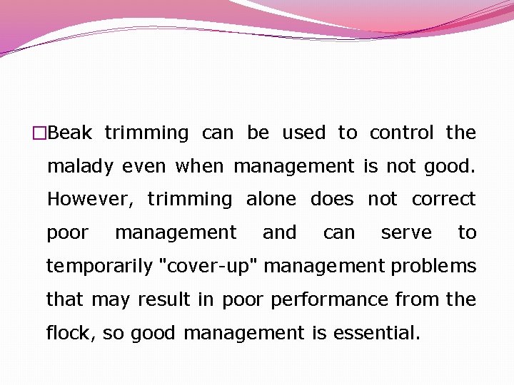 �Beak trimming can be used to control the malady even when management is not