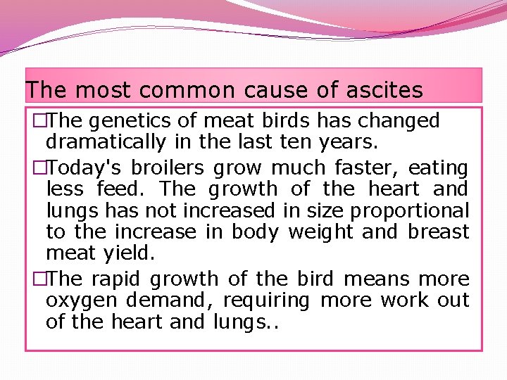 The most common cause of ascites �The genetics of meat birds has changed dramatically