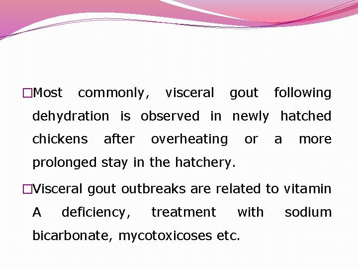 �Most commonly, visceral gout following dehydration is observed in newly hatched chickens after overheating