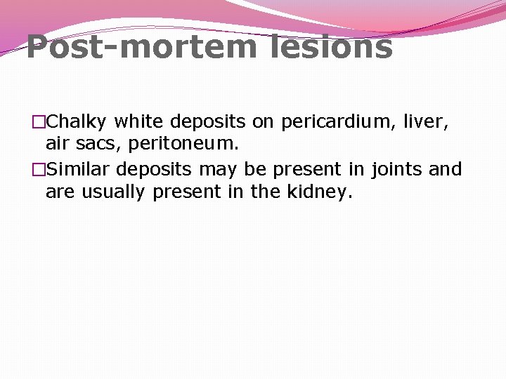 Post-mortem lesions �Chalky white deposits on pericardium, liver, air sacs, peritoneum. �Similar deposits may