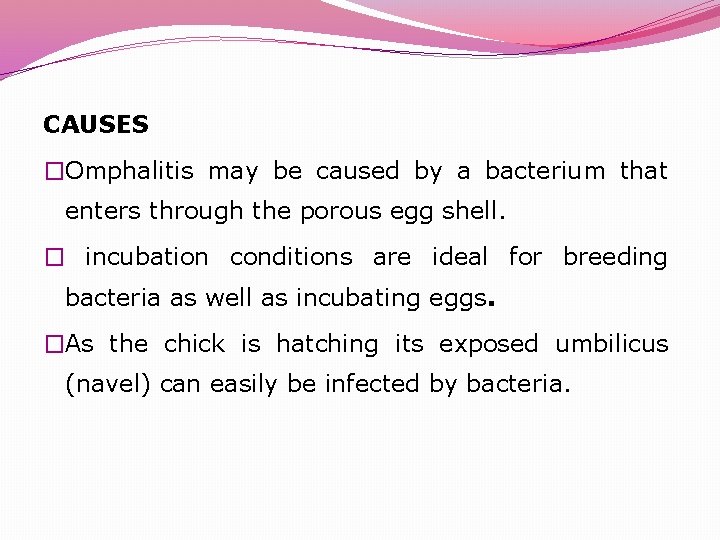 CAUSES �Omphalitis may be caused by a bacterium that enters through the porous egg