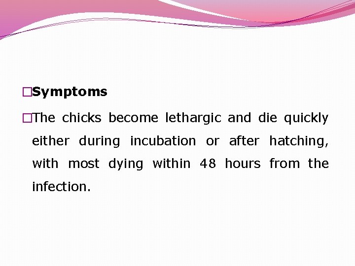 �Symptoms �The chicks become lethargic and die quickly either during incubation or after hatching,