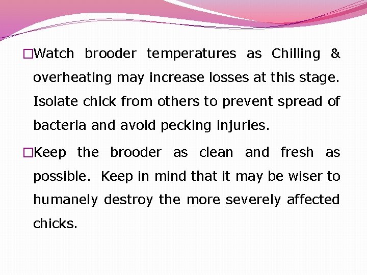 �Watch brooder temperatures as Chilling & overheating may increase losses at this stage. Isolate