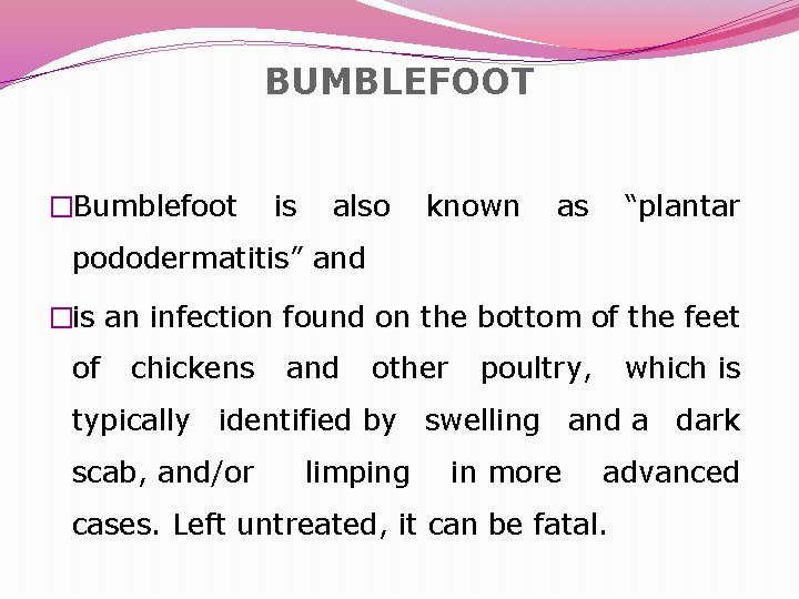 BUMBLEFOOT �Bumblefoot is also known as “plantar pododermatitis” and �is an infection found on