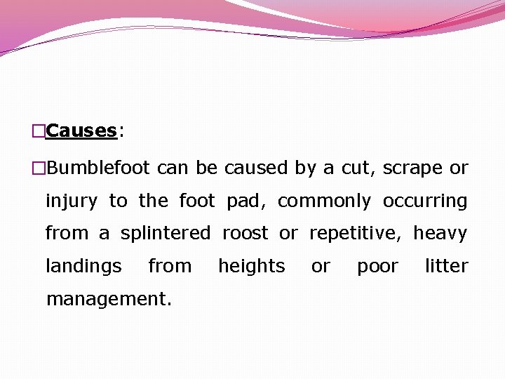 �Causes: �Bumblefoot can be caused by a cut, scrape or injury to the foot