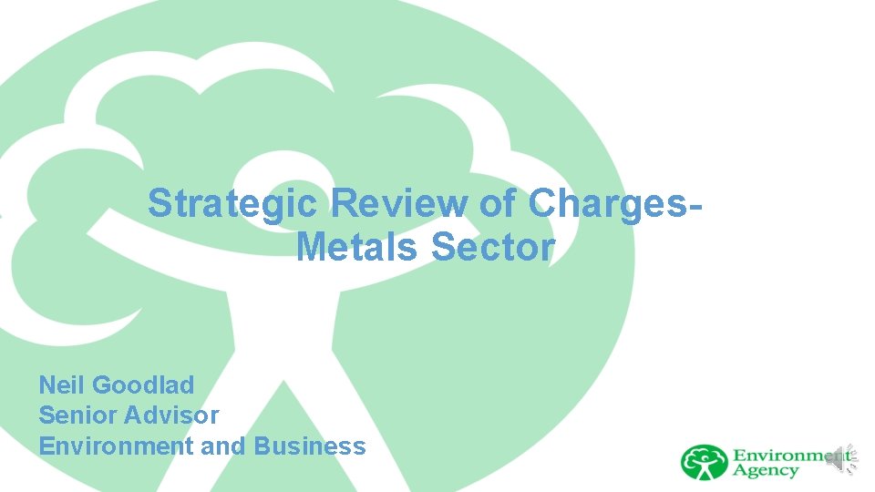 Strategic Review of Charges. Metals Sector Neil Goodlad Senior Advisor Environment and Business 