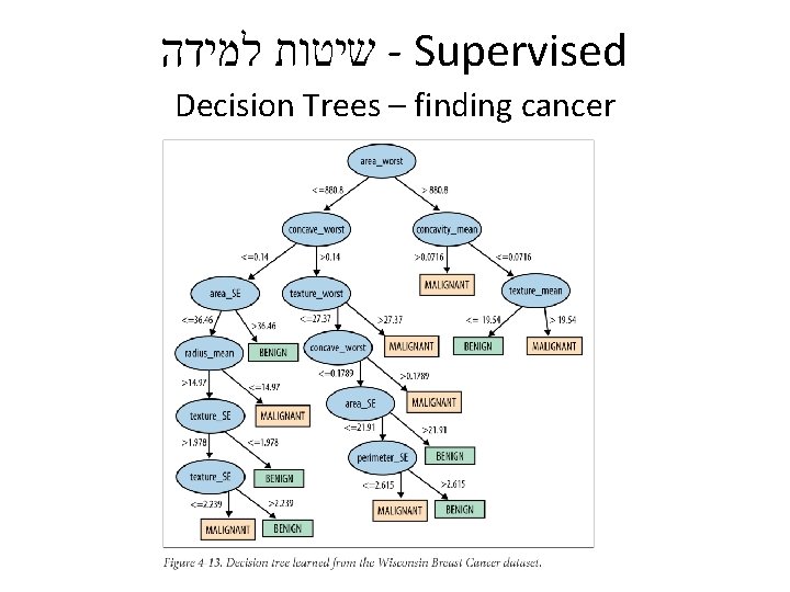  שיטות למידה - Supervised Decision Trees – finding cancer 