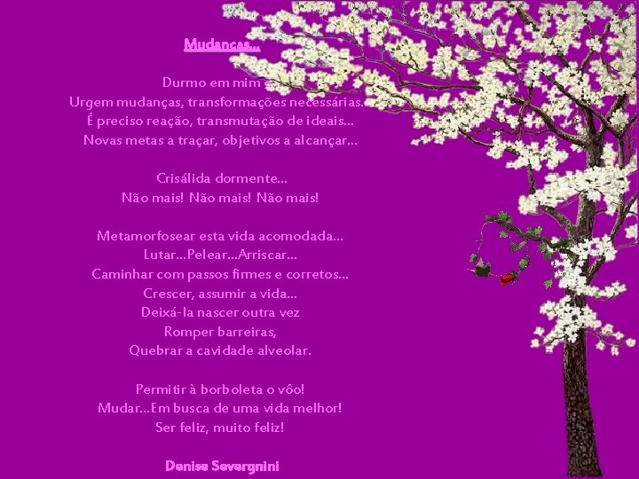 Mudanças. . . Durmo em mim e. . . Urgem mudanças, transformações necessárias. . Mudanças. . . Durmo em mim e. . . Urgem mudanças, transformações necessárias. .