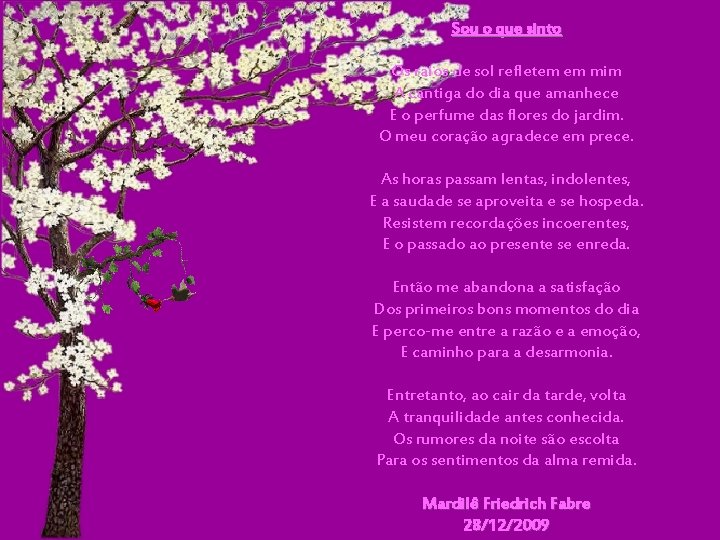 Sou o que sinto Os raios de sol refletem em mim A cantiga do Sou o que sinto Os raios de sol refletem em mim A cantiga do