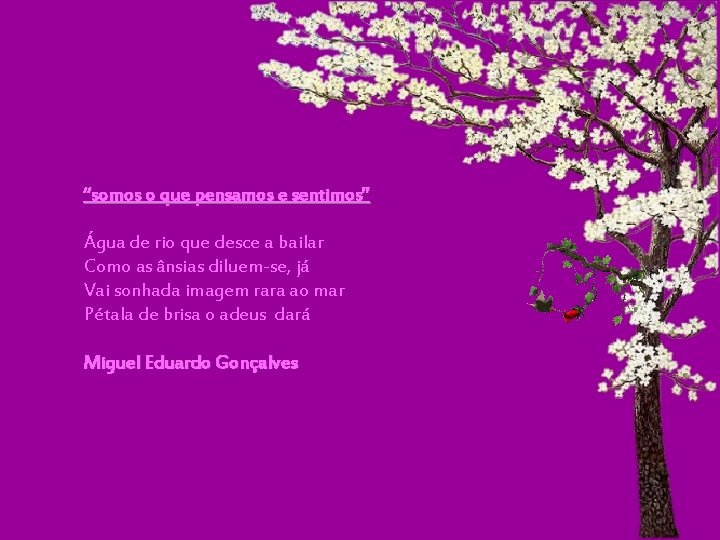 “somos o que pensamos e sentimos” Água de rio que desce a bailar Como “somos o que pensamos e sentimos” Água de rio que desce a bailar Como