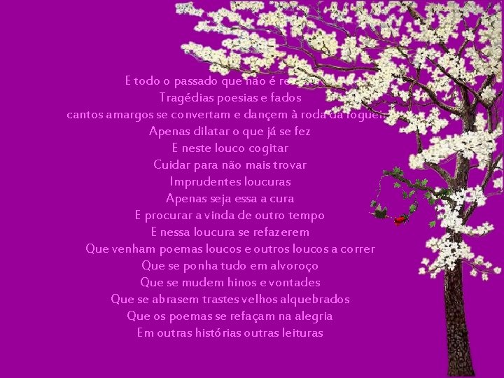 E todo o passado que não é resguardo Tragédias poesias e fados cantos amargos E todo o passado que não é resguardo Tragédias poesias e fados cantos amargos