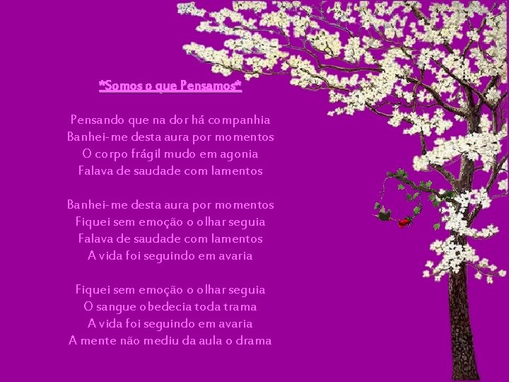 *Somos o que Pensamos* Pensando que na dor há companhia Banhei-me desta aura por *Somos o que Pensamos* Pensando que na dor há companhia Banhei-me desta aura por