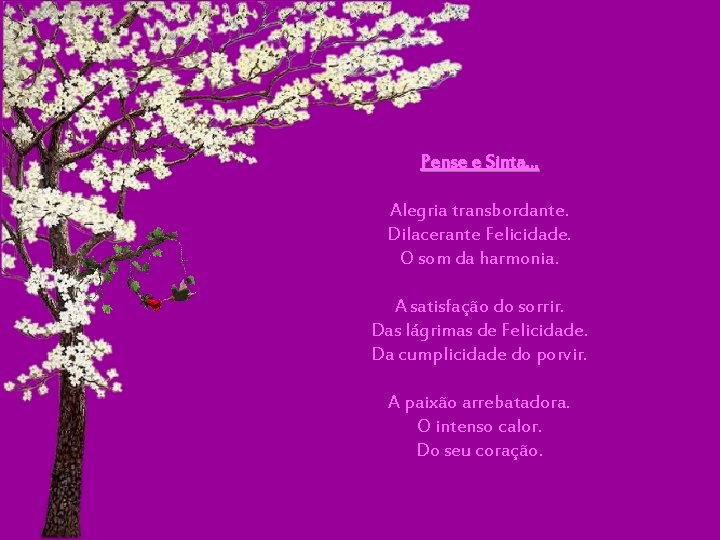 Pense e Sinta. . . Alegria transbordante. Dilacerante Felicidade. O som da harmonia. A Pense e Sinta. . . Alegria transbordante. Dilacerante Felicidade. O som da harmonia. A