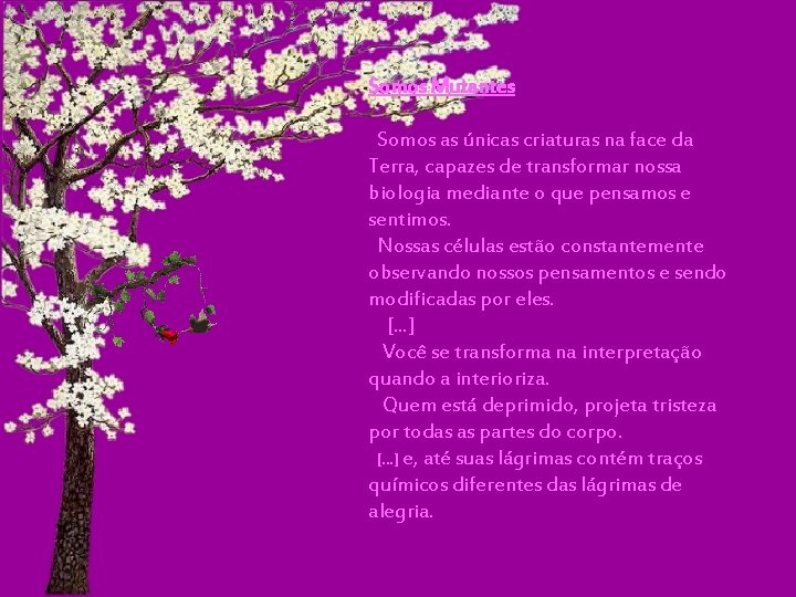 Somos Mutantes Somos as únicas criaturas na face da Terra, capazes de transformar nossa Somos Mutantes Somos as únicas criaturas na face da Terra, capazes de transformar nossa